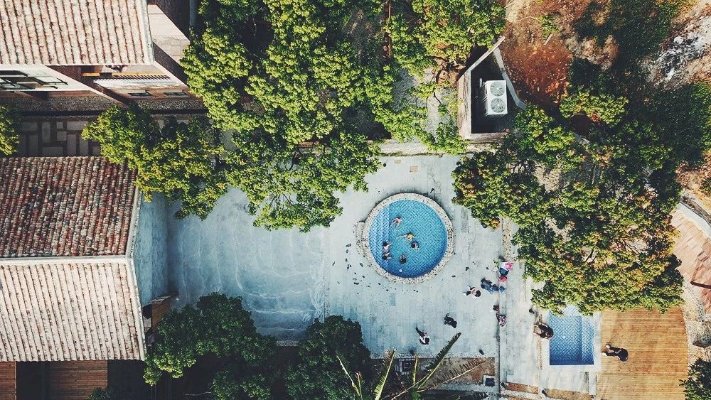 廣州·菁木山舍，有個(gè)木屋開滿鮮花看花開花落