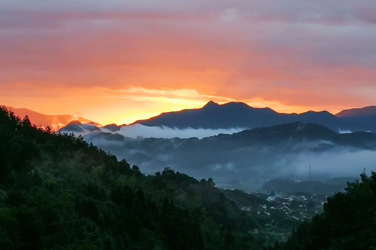 一音禪師的佛系生活：獨(dú)自修行活在當(dāng)下！