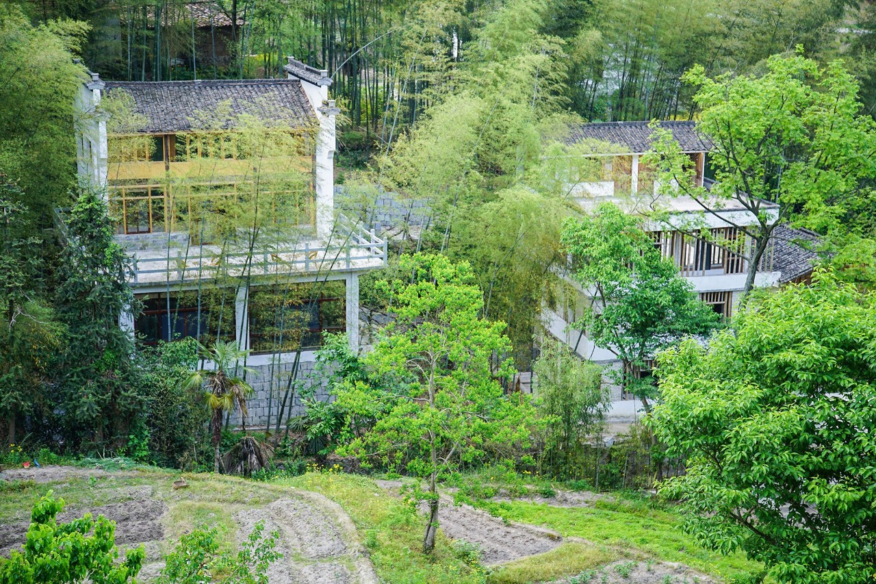 一音禪師的佛系生活：獨(dú)自修行活在當(dāng)下！