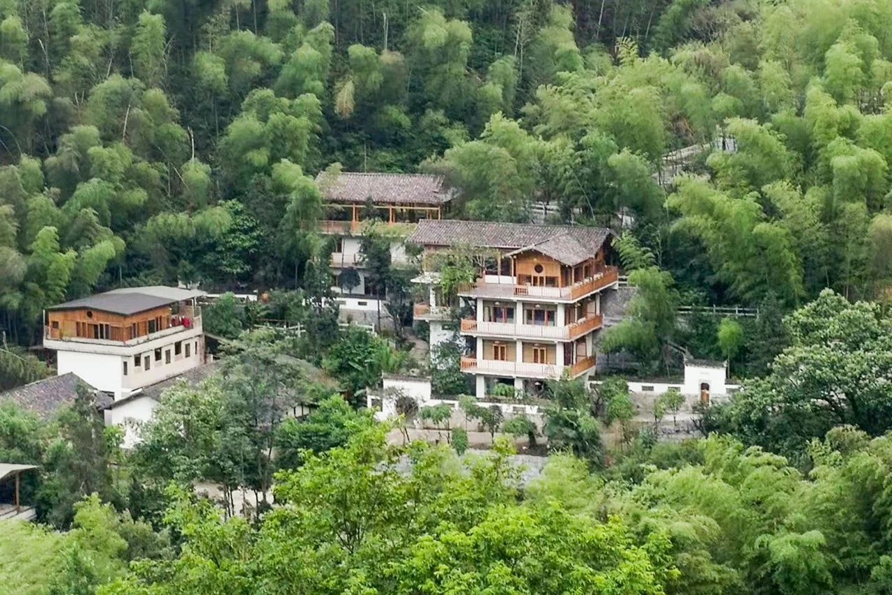 一音禪師的佛系生活：獨(dú)自修行活在當(dāng)下！