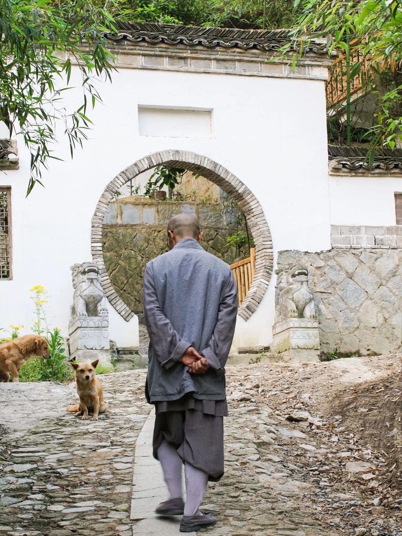 一音禪師的佛系生活：獨(dú)自修行活在當(dāng)下！