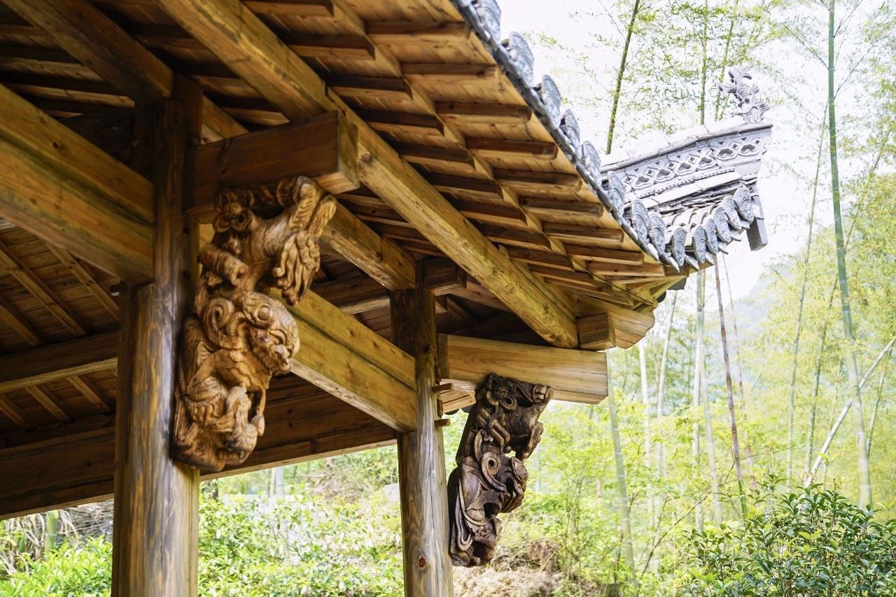 一音禪師的佛系生活：獨自修行活在當(dāng)下！