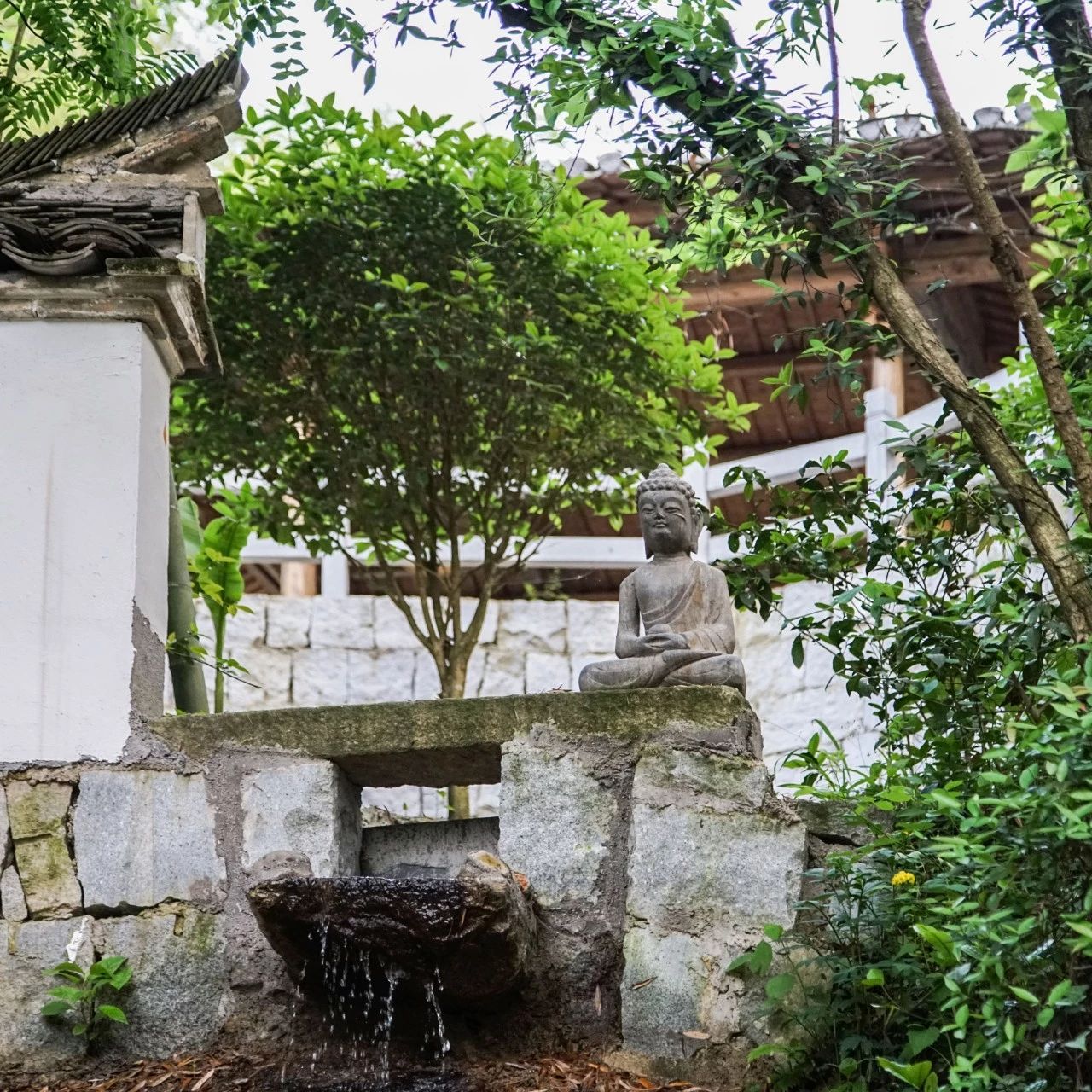 一音禪師的佛系生活：獨自修行活在當(dāng)下！