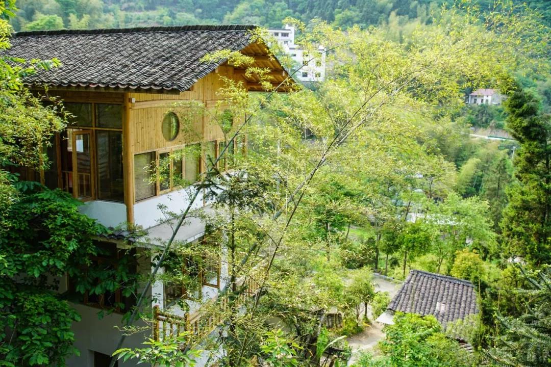 一音禪師的佛系生活：獨(dú)自修行活在當(dāng)下！