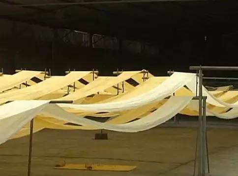 中國(guó)最古老布料:夏布微涼款款起舞