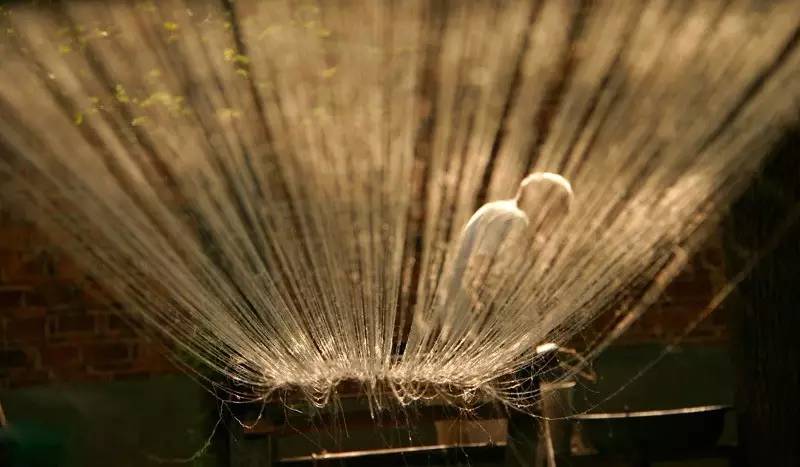 中國最古老布料:夏布微涼款款起舞