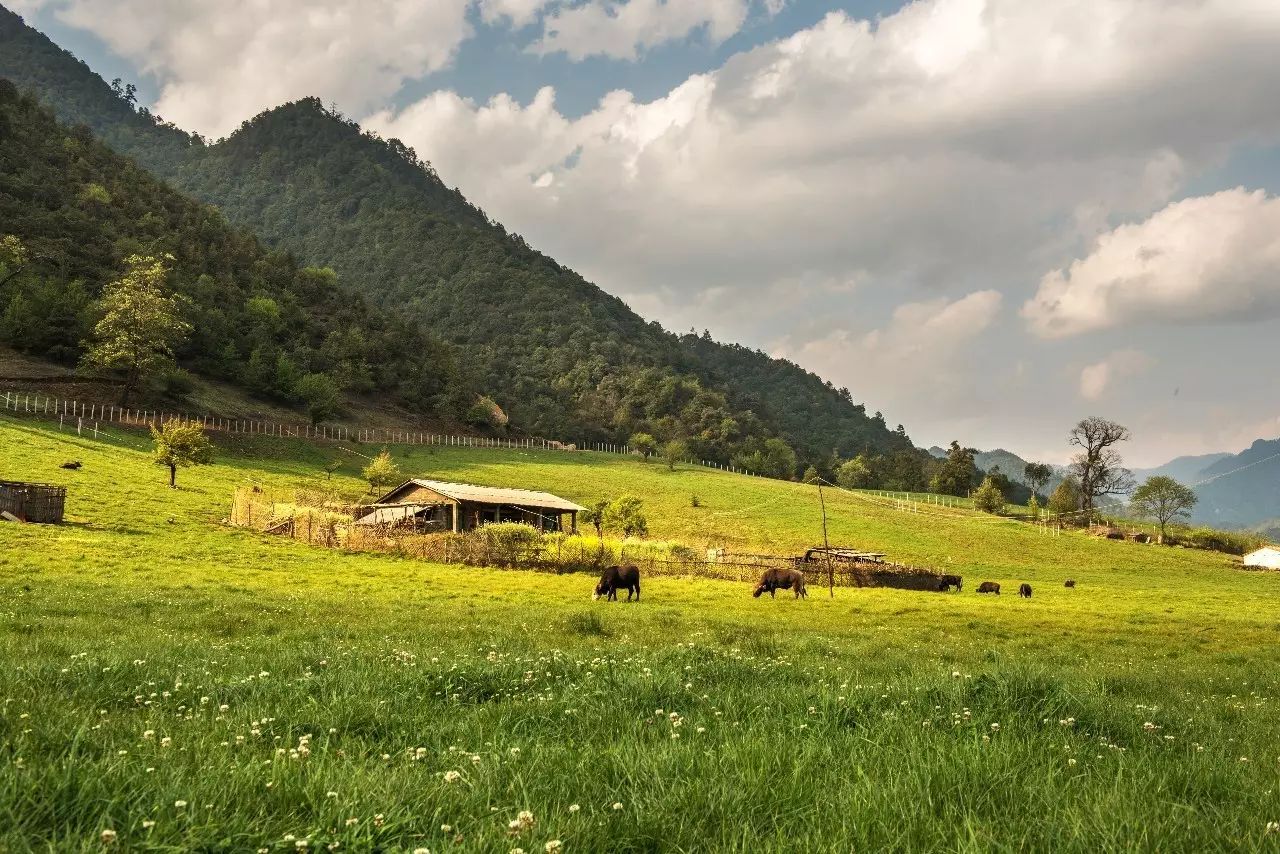 騰沖·敘蘭亭，不是讓古宅在時光中老去