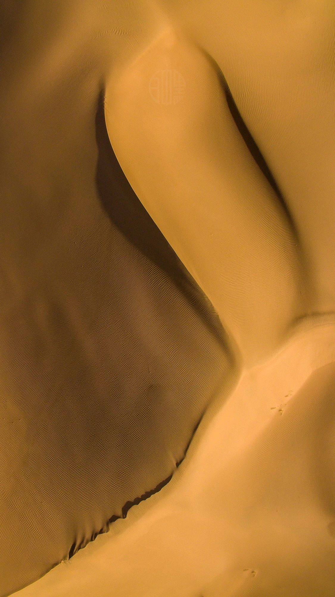 驚艷家佳樂文學(xué)景：發(fā)現(xiàn)未知的美！