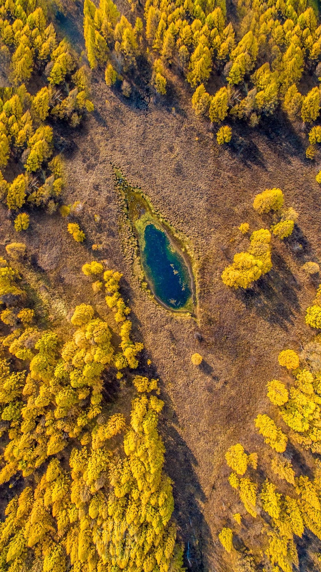 驚艷家佳樂文學(xué)景：發(fā)現(xiàn)未知的美！
