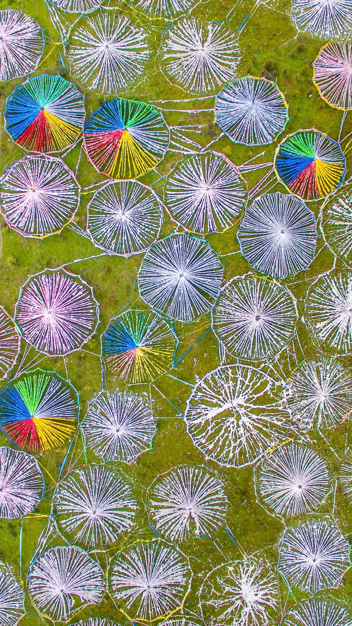 驚艷家佳樂文學(xué)景：發(fā)現(xiàn)未知的美！