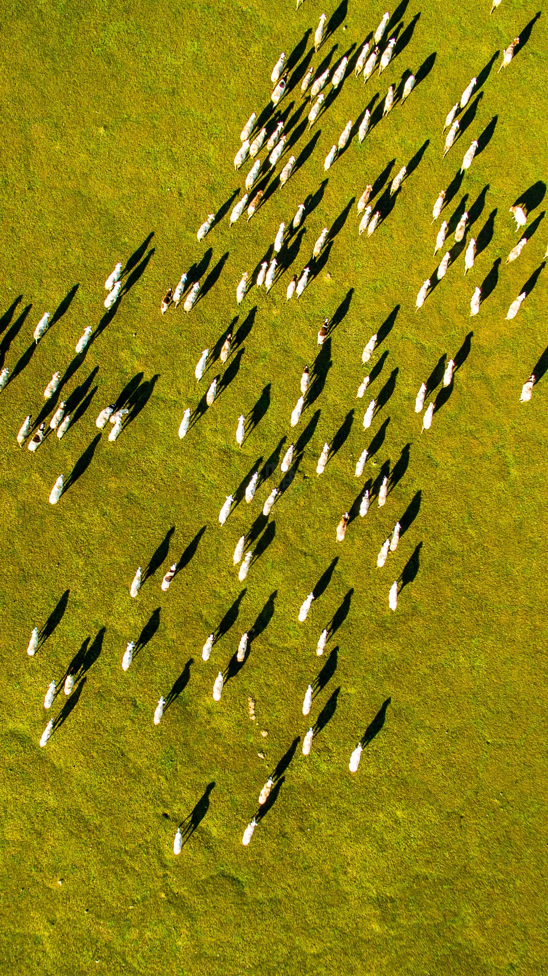 驚艷家佳樂(lè)文學(xué)景：發(fā)現(xiàn)未知的美！