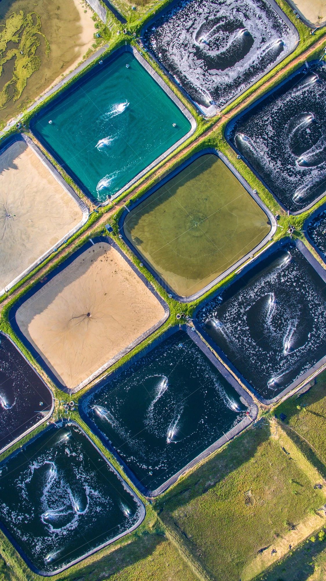 驚艷家佳樂(lè)文學(xué)景：發(fā)現(xiàn)未知的美！