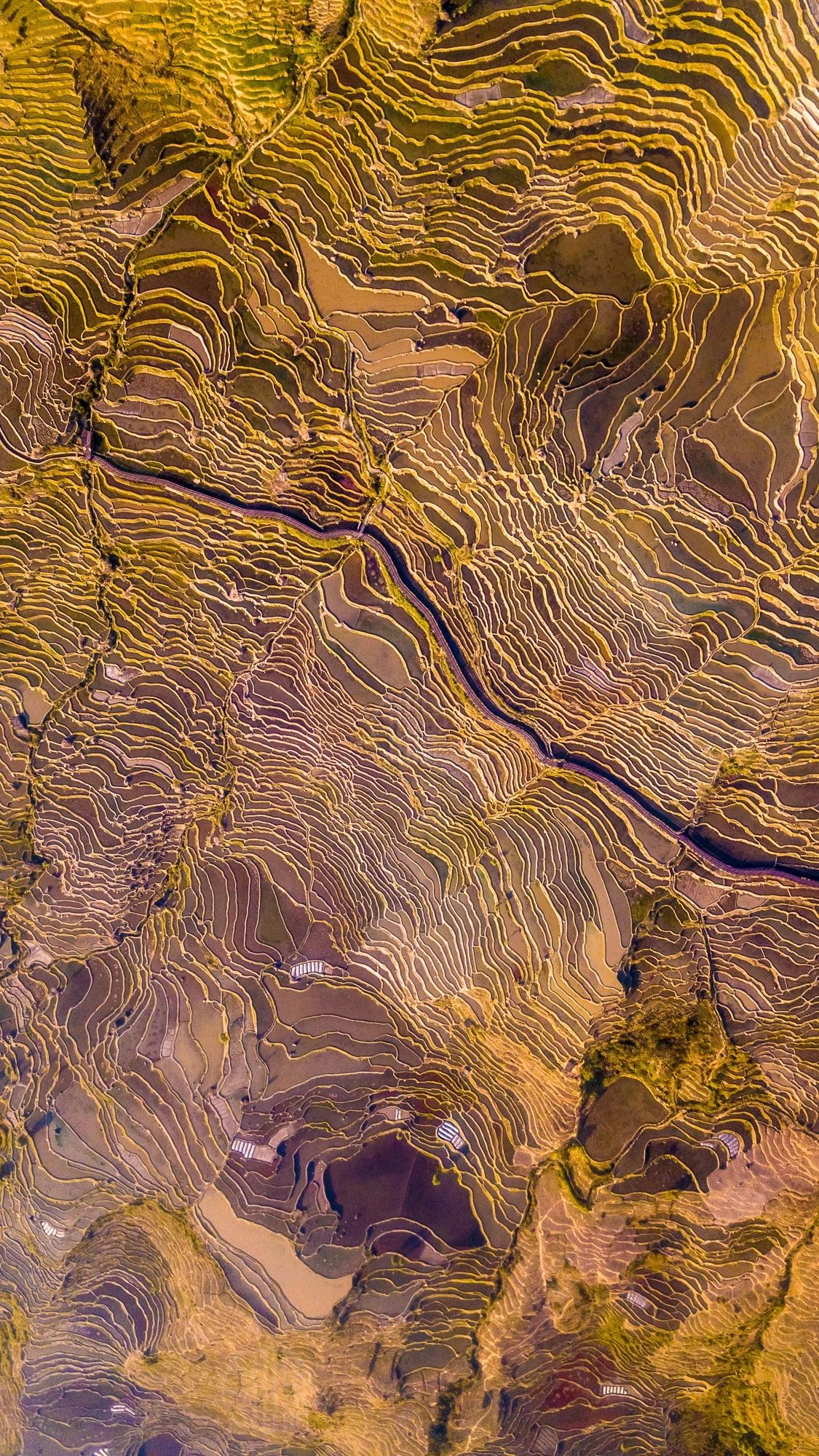 驚艷家佳樂文學景：發(fā)現未知的美！