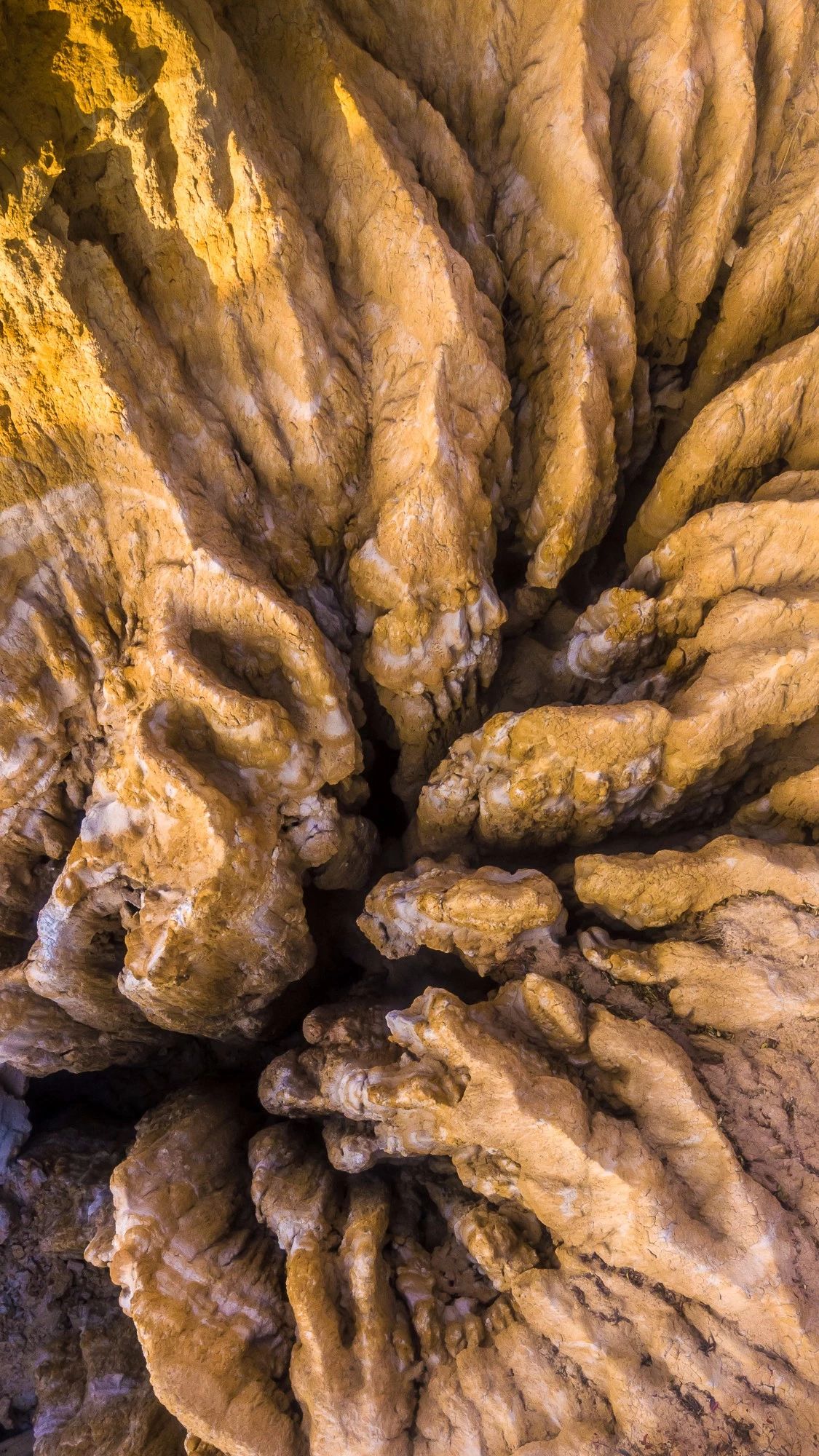 驚艷家佳樂文學景：發(fā)現未知的美！