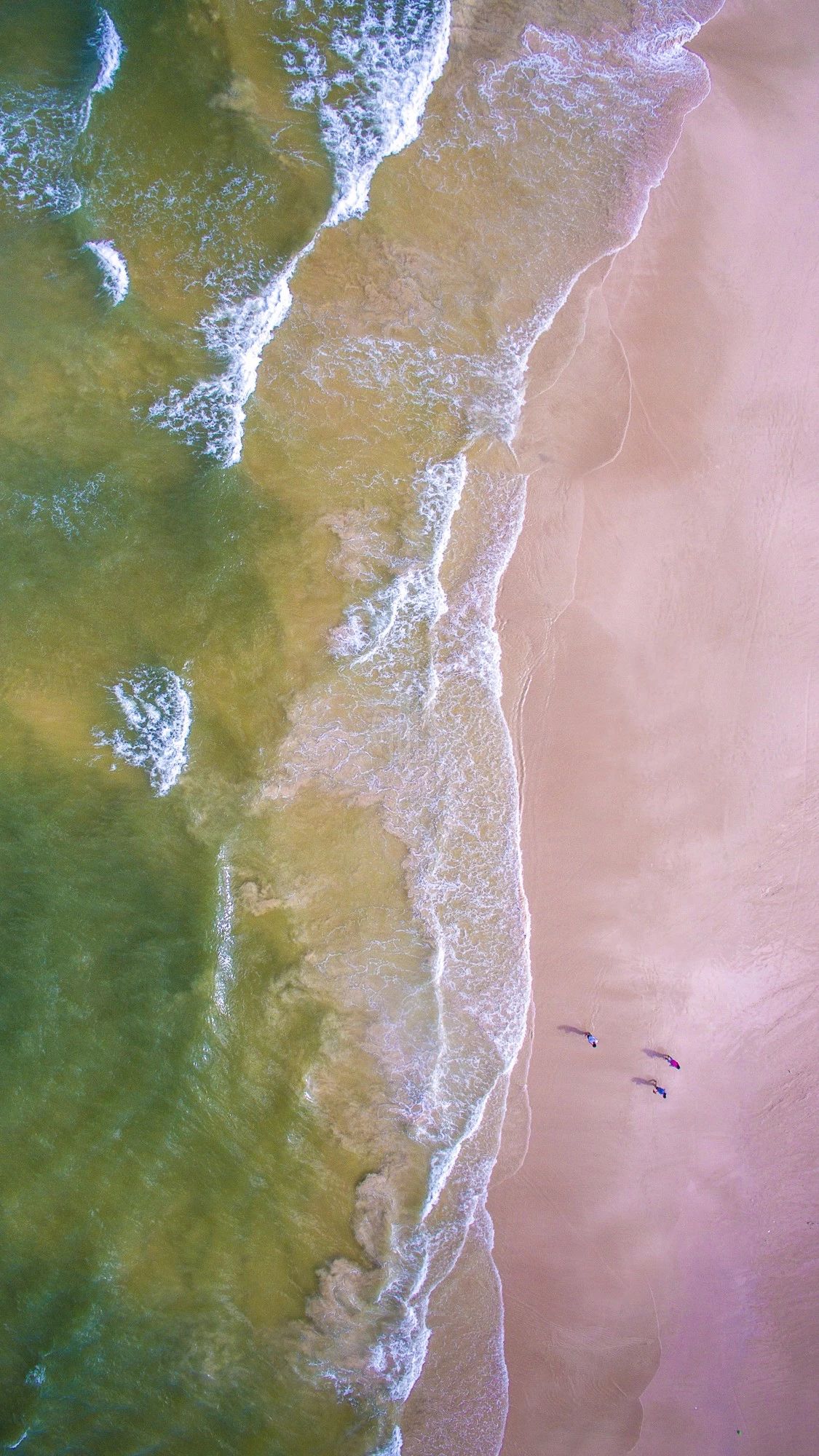 驚艷家佳樂文學(xué)景：發(fā)現(xiàn)未知的美！