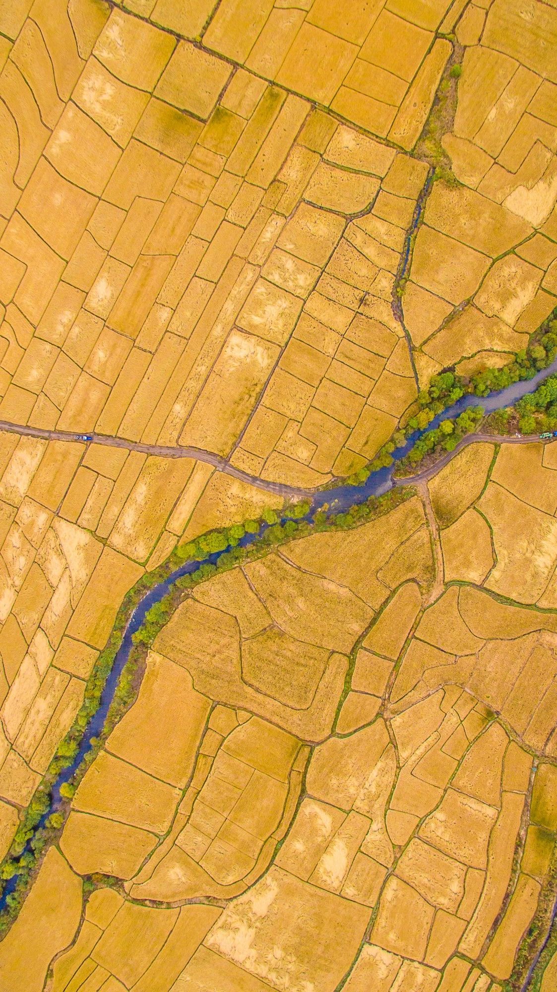 驚艷家佳樂文學(xué)景：發(fā)現(xiàn)未知的美！