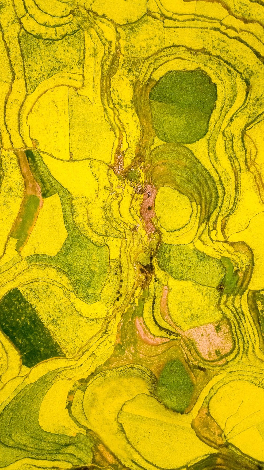 驚艷家佳樂文學(xué)景：發(fā)現(xiàn)未知的美！