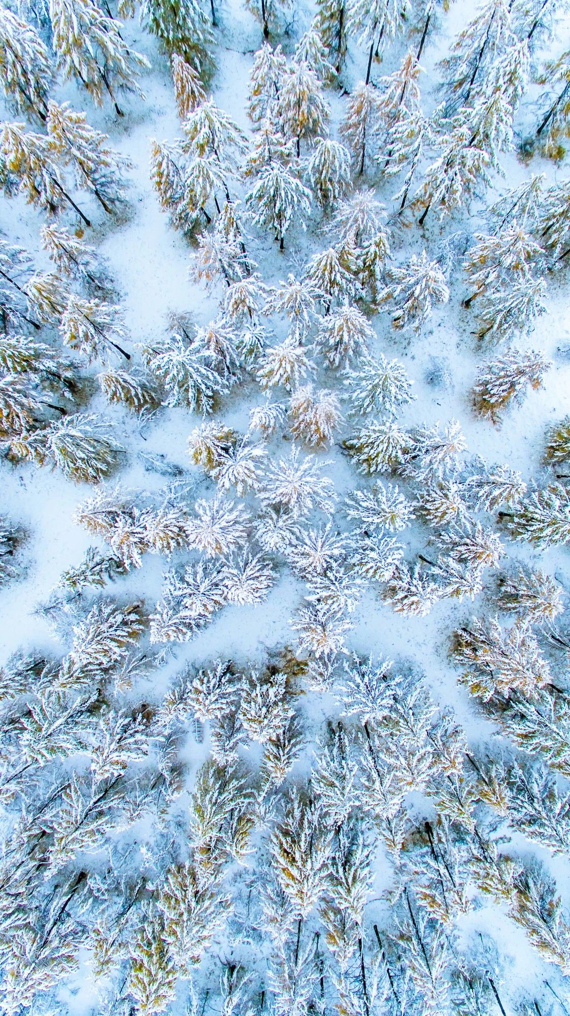 驚艷家佳樂文學(xué)景：發(fā)現(xiàn)未知的美！