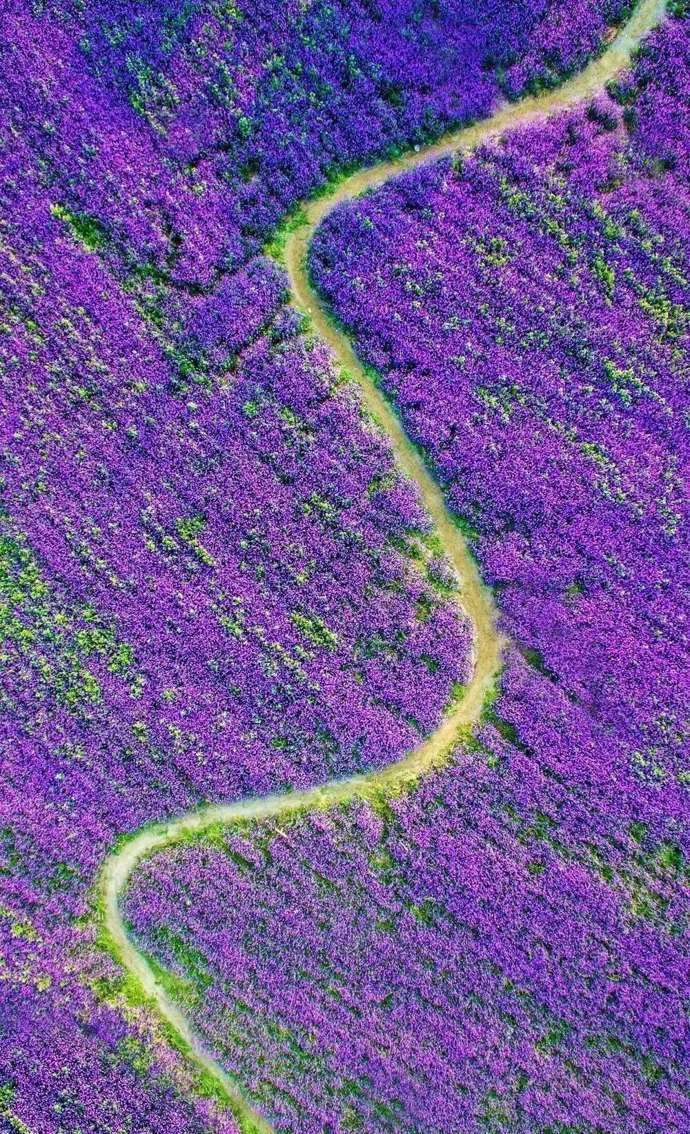 驚艷家佳樂文學(xué)景：發(fā)現(xiàn)未知的美！