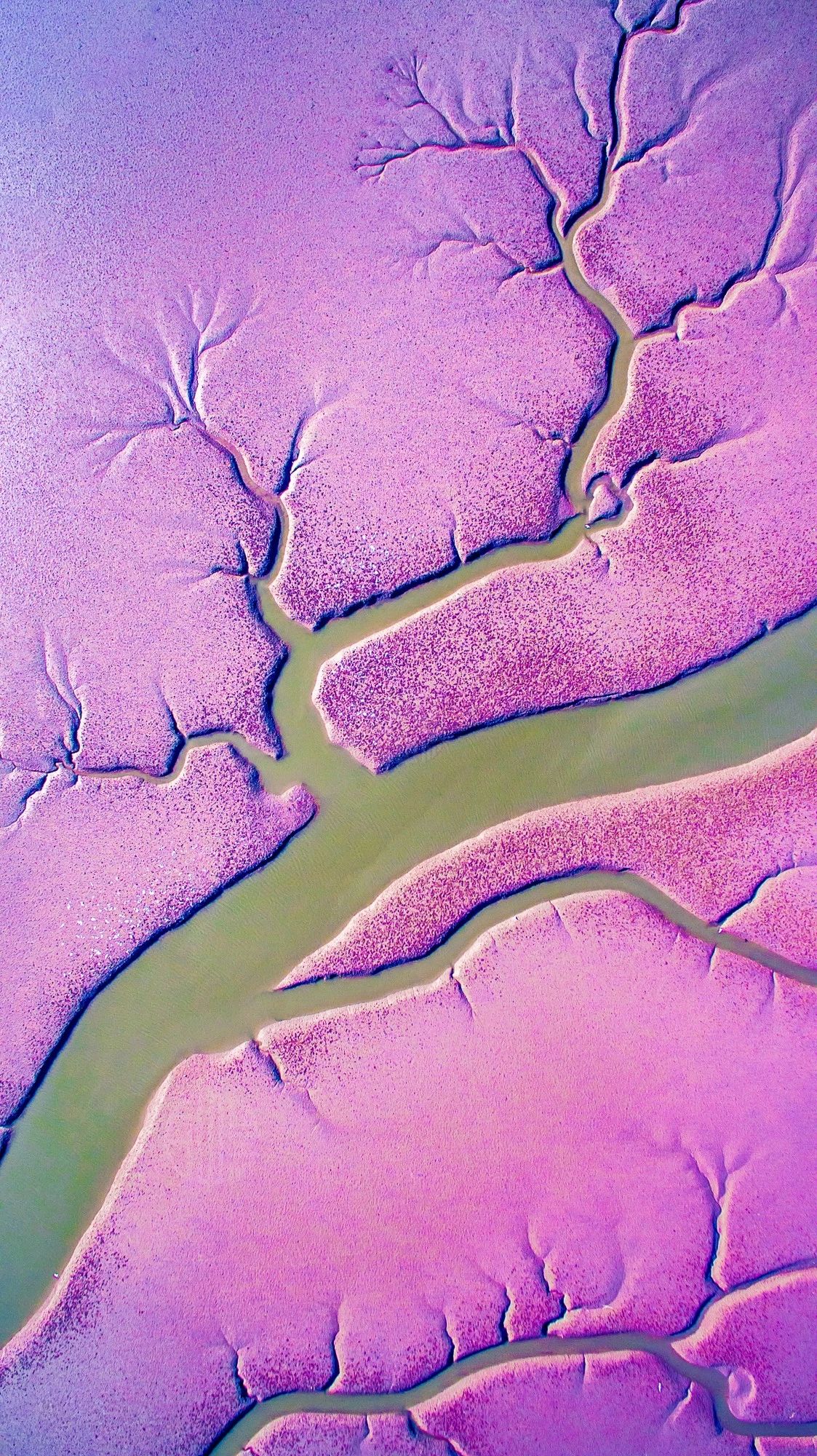 驚艷家佳樂文學(xué)景：發(fā)現(xiàn)未知的美！