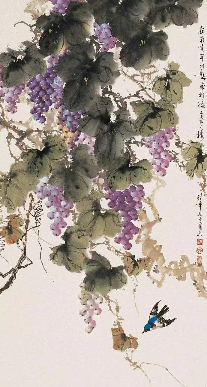 美人如葡萄，秀美如國畫！