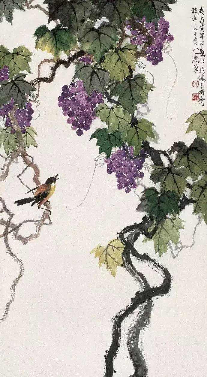 美人如葡萄，秀美如國畫！