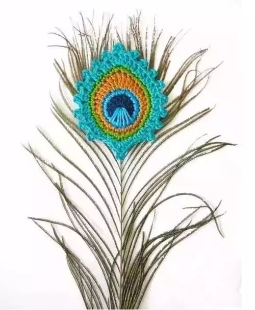 孔雀羽毛編織作品，驚艷眾人！