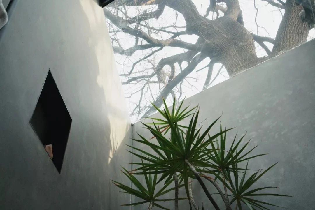 北京·有術(shù)，網(wǎng)紅建筑師青山周平的新作