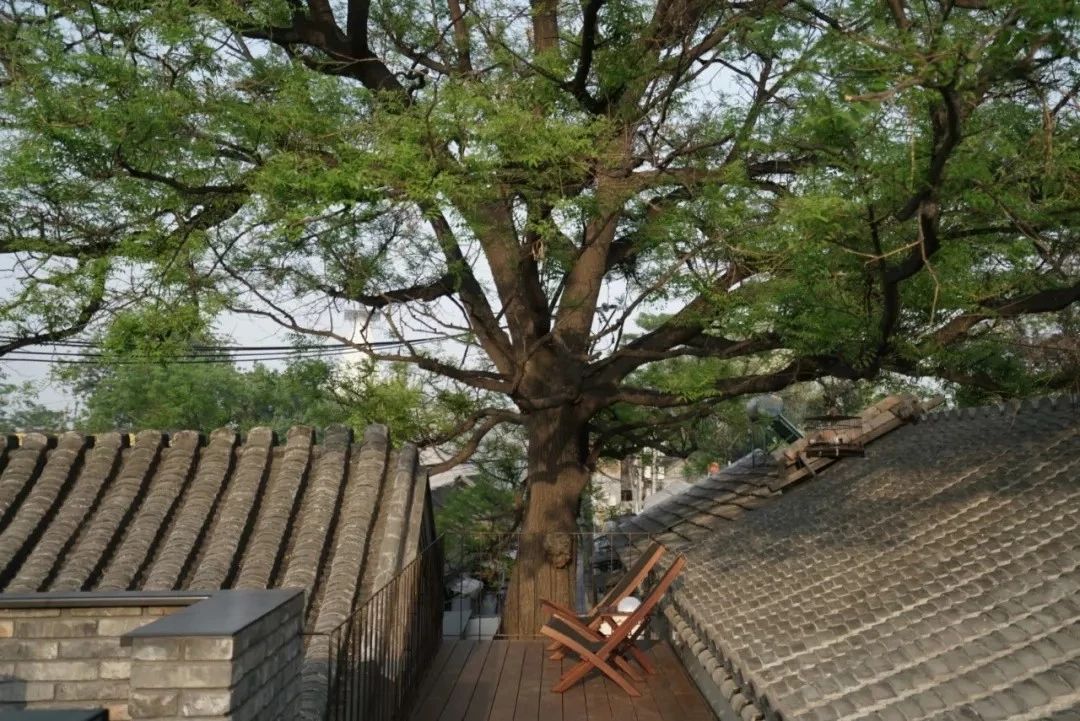 北京·有術(shù)，網(wǎng)紅建筑師青山周平的新作