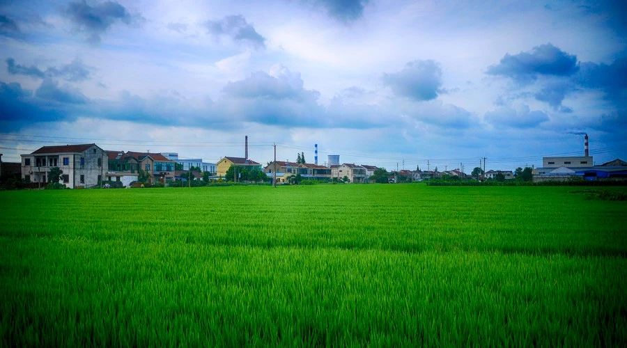 南京·悠然客棧，一方小院一杯清茶一段美好時光