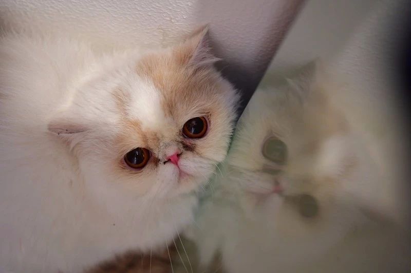 南京·悠然客棧，一方小院一杯清茶一段美好時(shí)光