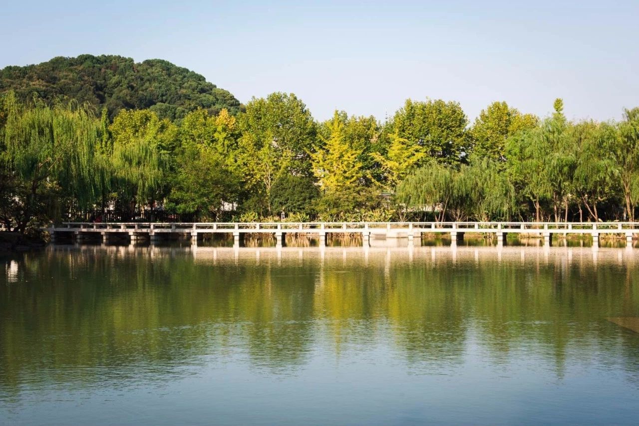 杭州·水墨蓉莊，保持一副獨立于塵世之外面孔