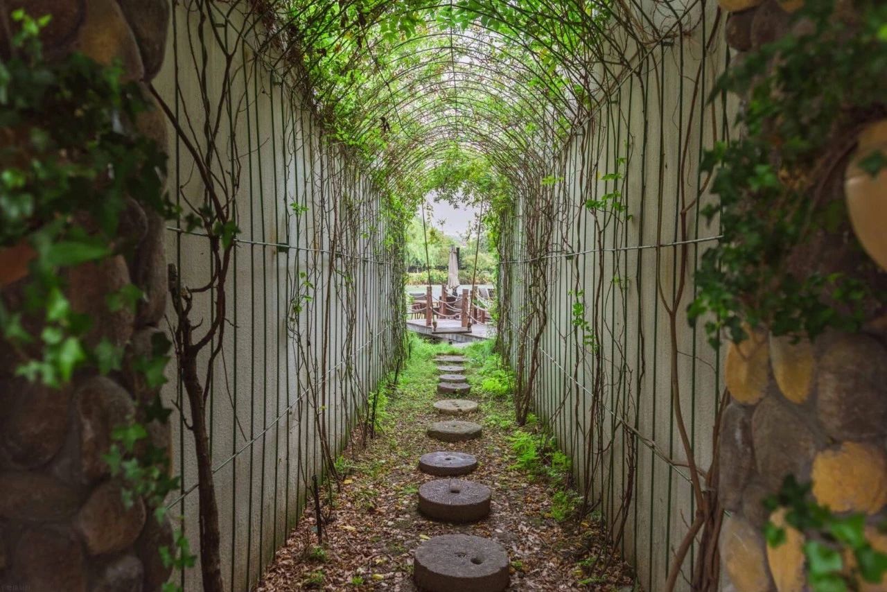 杭州·水墨蓉莊，保持一副獨立于塵世之外面孔