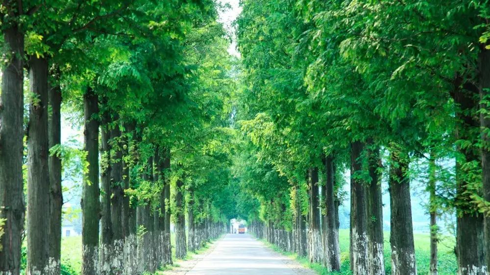 莫干山·玖悅度假酒店，沉浸在風(fēng)景里