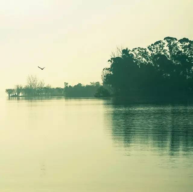 風(fēng)景攝影作品時(shí)光靜好：邛海景色！