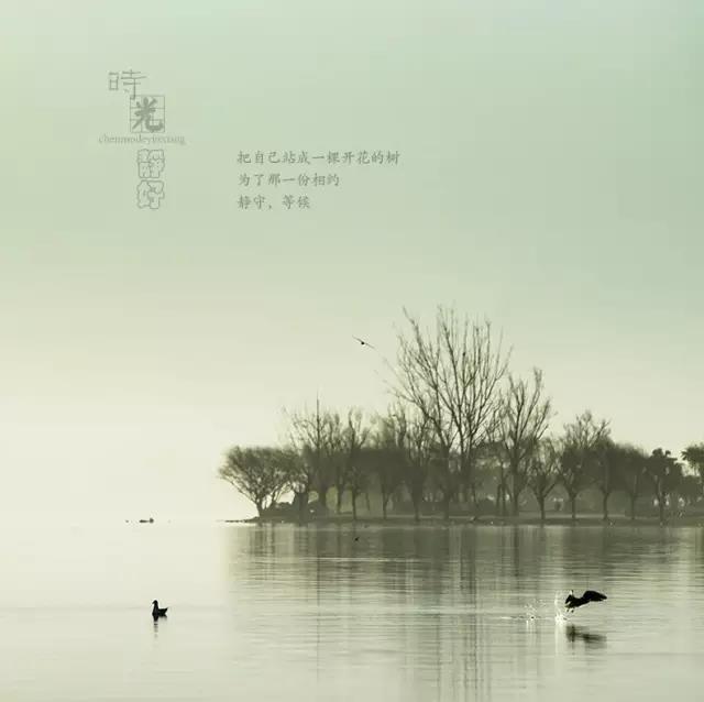 風(fēng)景攝影作品時(shí)光靜好：邛海景色！
