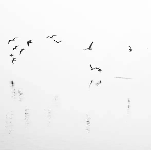 風(fēng)景攝影作品時(shí)光靜好：邛海景色！