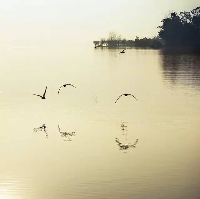 風(fēng)景攝影作品時(shí)光靜好：邛海景色！