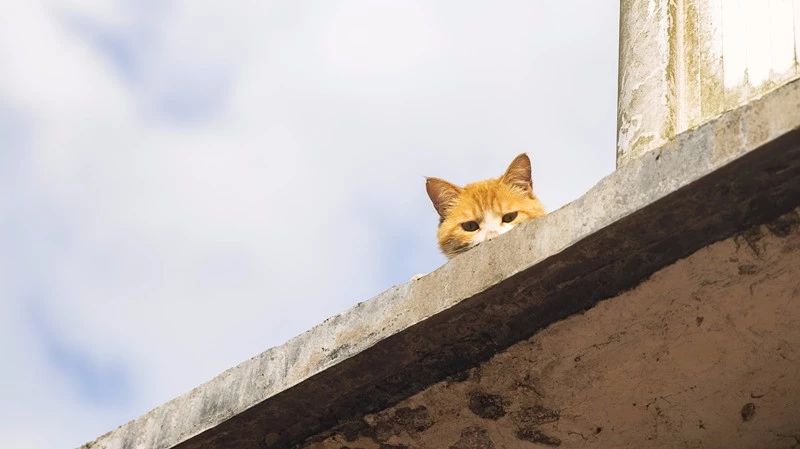 杭州·相見茶舍，若無相欠怎會(huì)相見