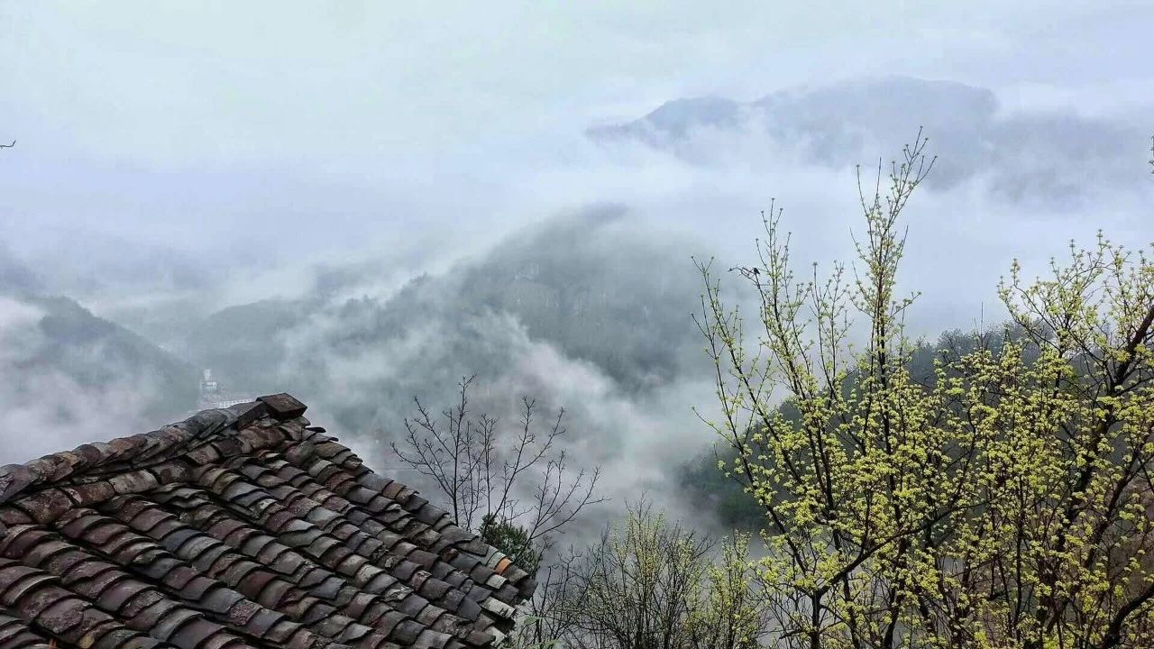 杭州·相見茶舍，若無相欠怎會(huì)相見