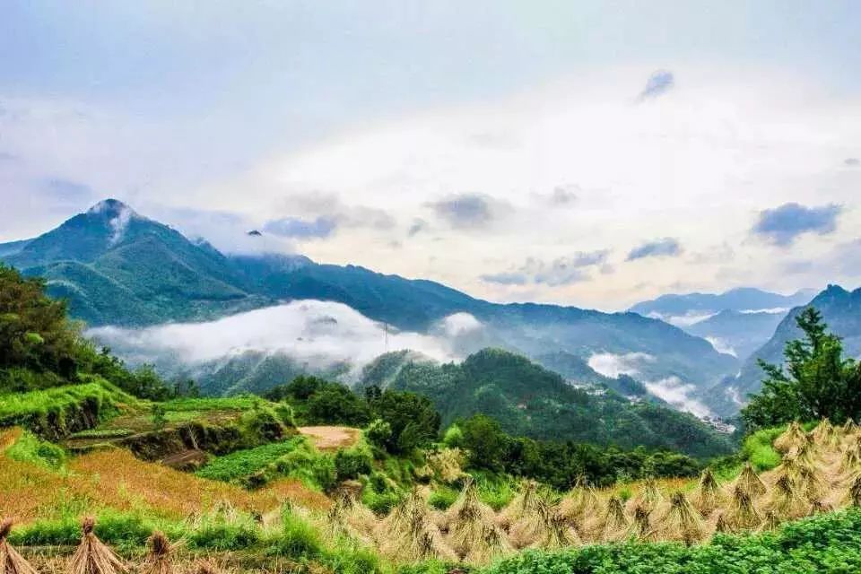 杭州·相見(jiàn)茶舍，若無(wú)相欠怎會(huì)相見(jiàn)