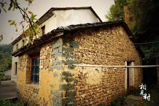 杭州·相見茶舍，若無相欠怎會相見