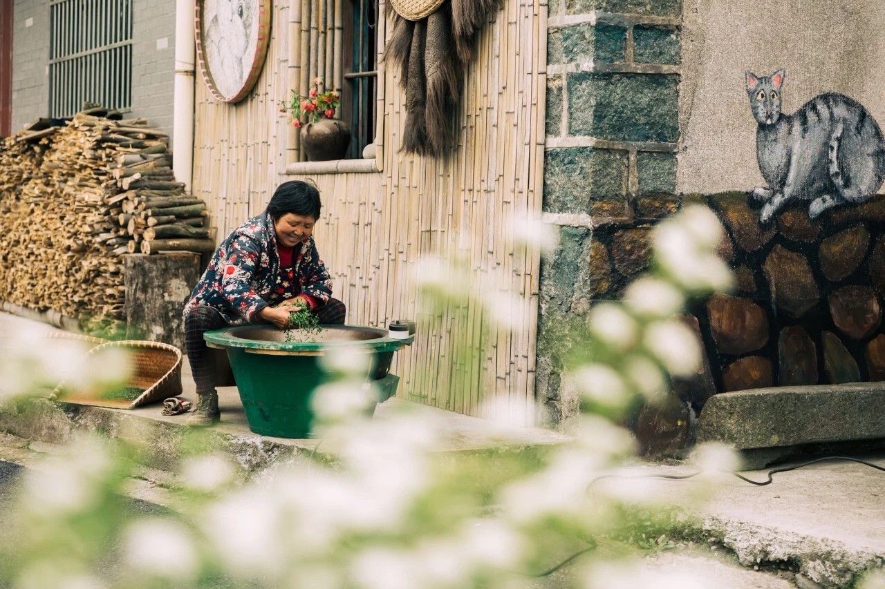 杭州·相見茶舍，若無相欠怎會相見