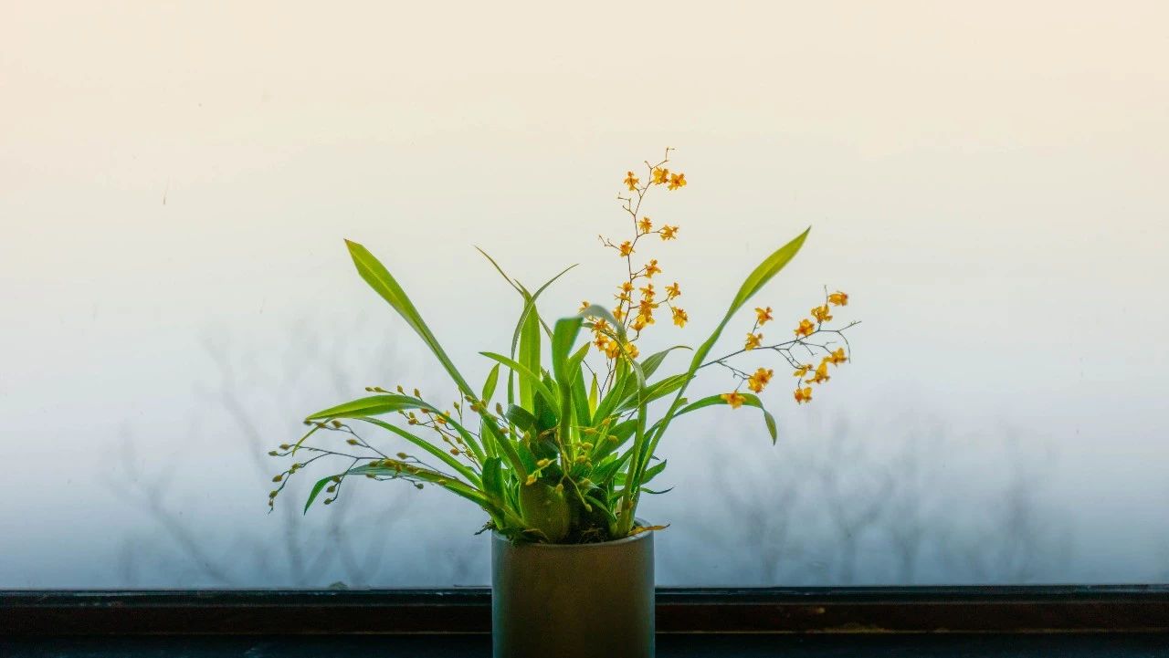 杭州·相見茶舍，若無相欠怎會相見