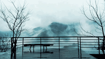 杭州·相見茶舍，若無相欠怎會相見