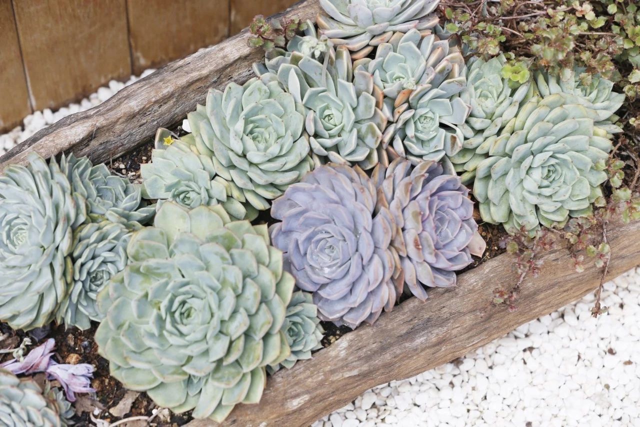 花田月舍·五月，最好的年紀(jì)找到內(nèi)心的歸屬感