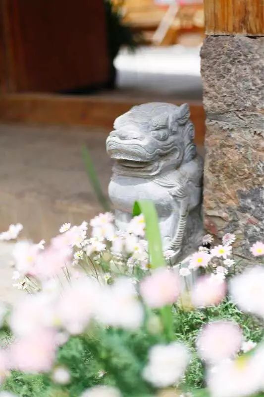 花田月舍·五月，最好的年紀(jì)找到內(nèi)心的歸屬感