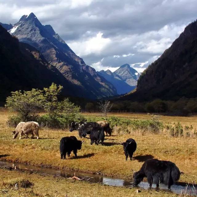 西藏景色，令人神往的佛界凈土
