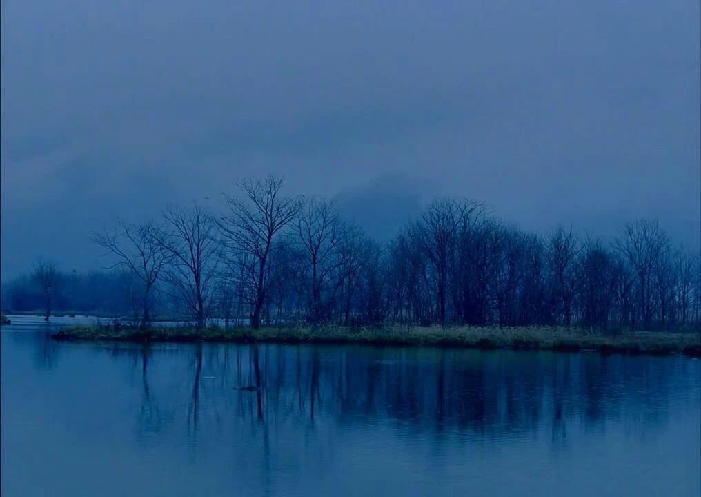 西顧·望城山居，闖入仙境等待一場(chǎng)花開的心動(dòng)