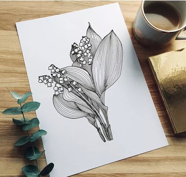9款黑白簡(jiǎn)約植物插畫：一絲一線的描繪